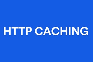 Elevating Web Experience: A Refined Approach to HTTP Caching